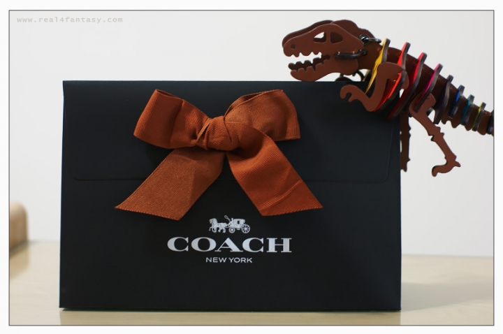 【COACH】撞色蛇皮腕帶棒球手套鞣製皮革手拿包