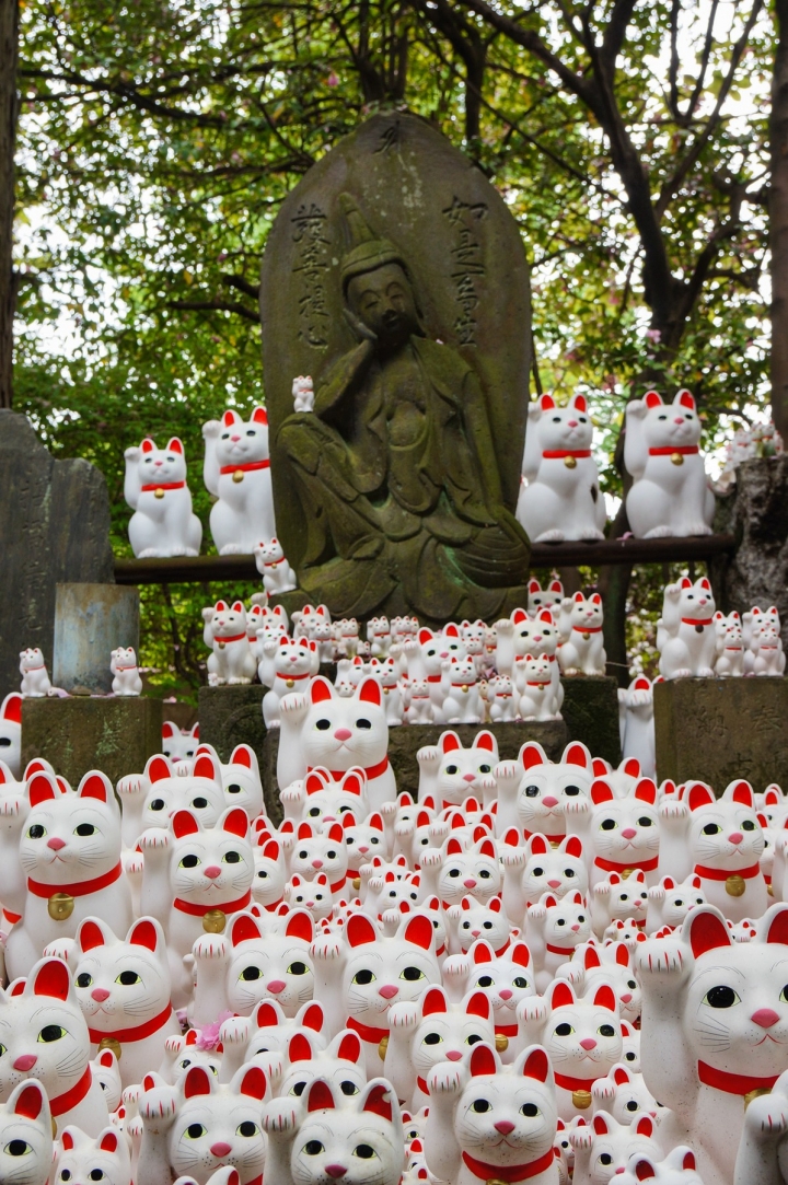 【工作旅遊】大關東區隨手拍之 NEX-5N 16-70 + 24za 不死