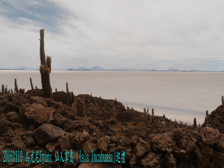 20161119 南美秘玻19日遊15-烏尤尼Uyuni