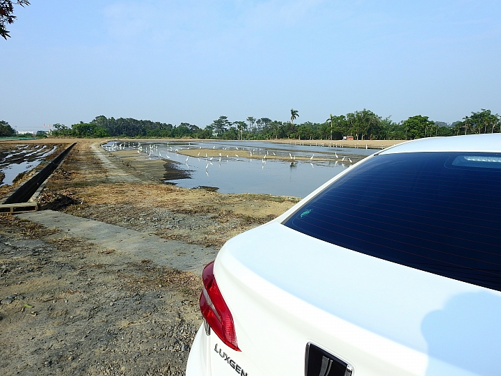 Luxgen S3第一次大型車聚在台南東成醬油會館