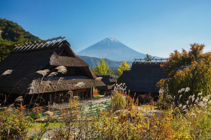 【工作旅遊】大關東區隨手拍之 NEX-5N 16-70 + 24za 不死