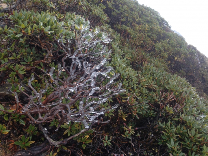 神奇賤包--準重裝南湖大山雙日行