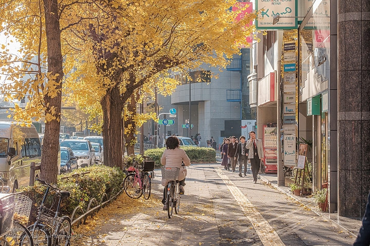 【X-T1】遲來一步的東京秋楓