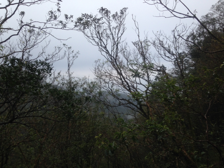 浪旅疾走--加羅湖+松羅湖之一日行