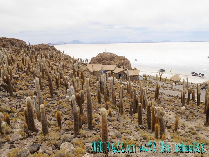 20161119 南美秘玻19日遊15-烏尤尼Uyuni