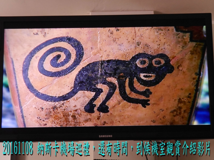 20161108 南美秘魯玻利維亞19日遊04-訪納斯卡線