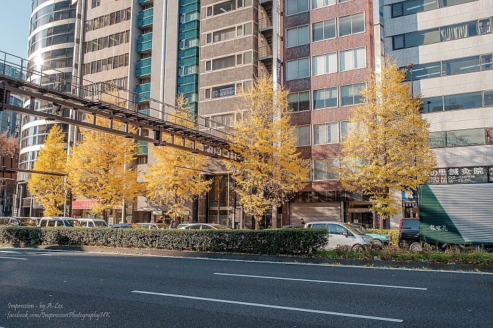 【X-T1】遲來一步的東京秋楓
