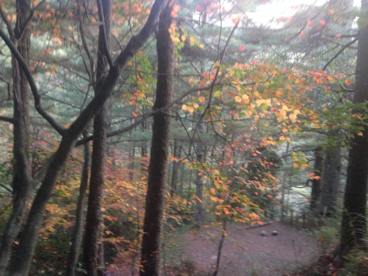神奇賤包--準重裝南湖大山雙日行