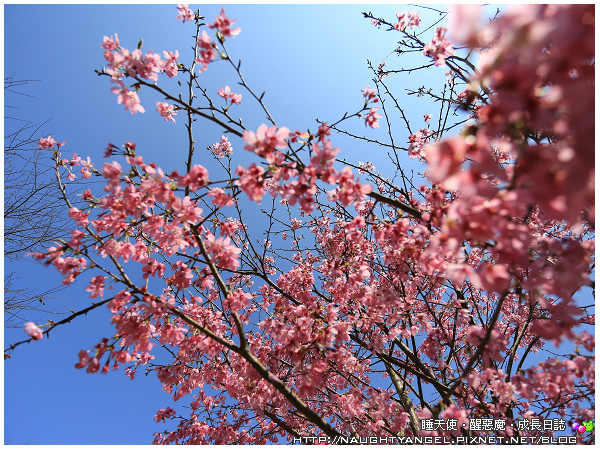 梅后蔓瀑布步道,就和《花湖美地露營區》的名字一樣美,這裡可以戲水,逛森林,還有好精采的生態觀察~