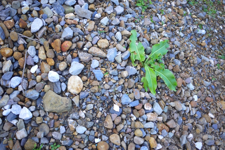 南多良,北八斗子深澳支線半日遊