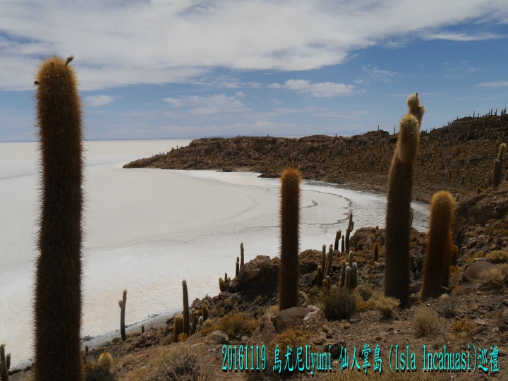 20161119 南美秘玻19日遊15-烏尤尼Uyuni