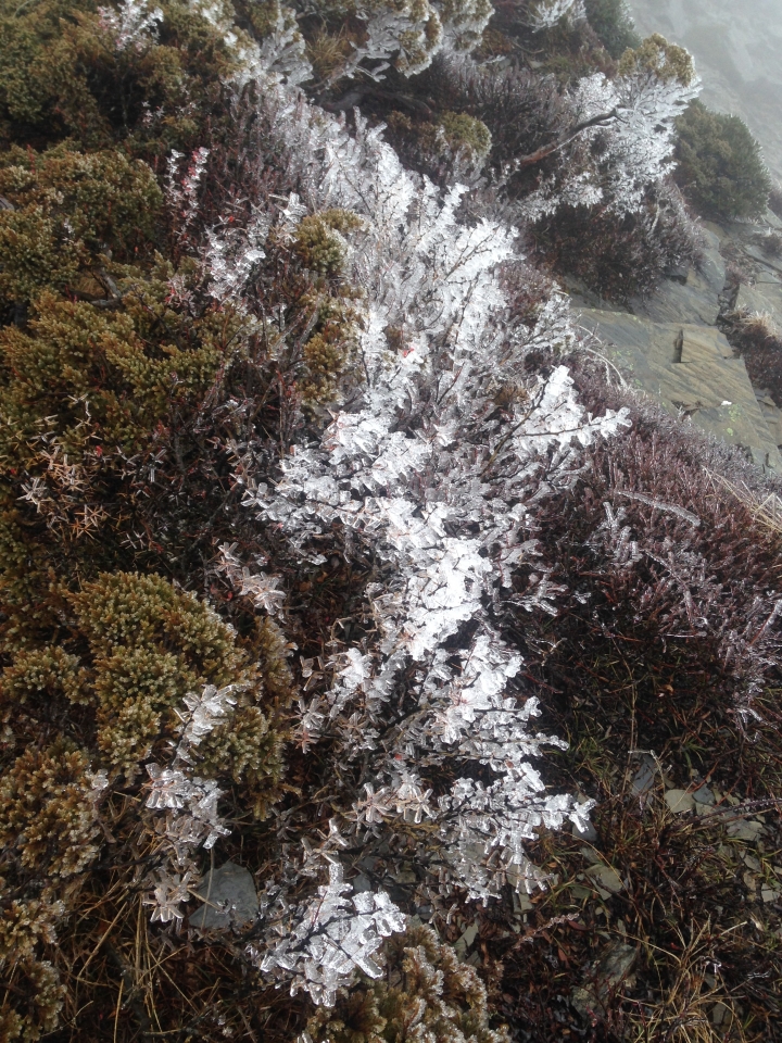 神奇賤包--準重裝南湖大山雙日行
