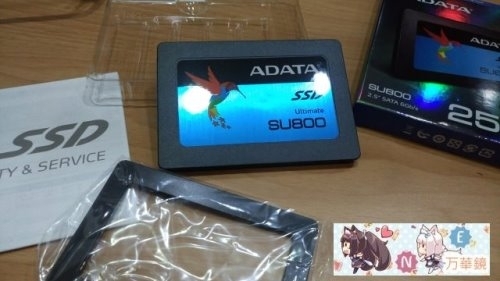 威剛ADATA SU800 256GB SSD測試開箱