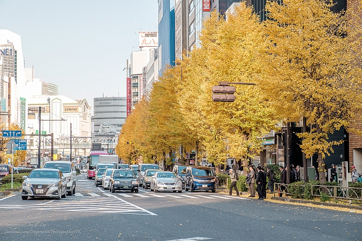 【X-T1】遲來一步的東京秋楓
