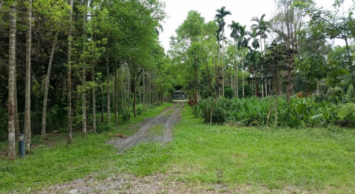 花蓮好山好水好放鬆~住宿養和屋就像回到家一樣~