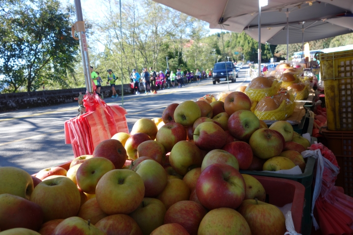 漫步雲端微筆,2016合歡山越野馬拉松,