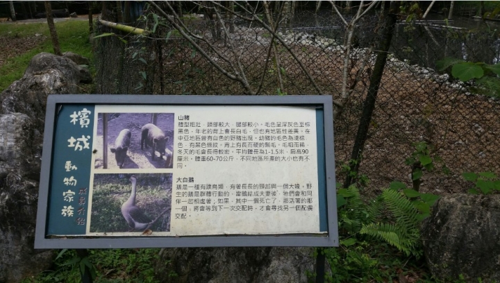 花蓮好山好水好放鬆~住宿養和屋就像回到家一樣~