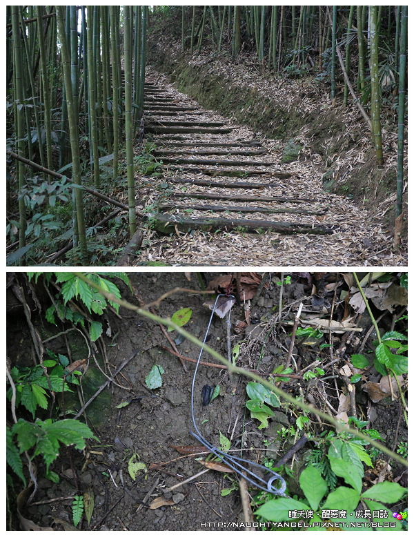 梅后蔓瀑布步道,就和《花湖美地露營區》的名字一樣美,這裡可以戲水,逛森林,還有好精采的生態觀察~