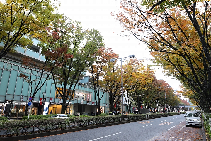超廣角大三元再臨‧Canon EF 16-35mm f/2.8L III USM 實測分享!