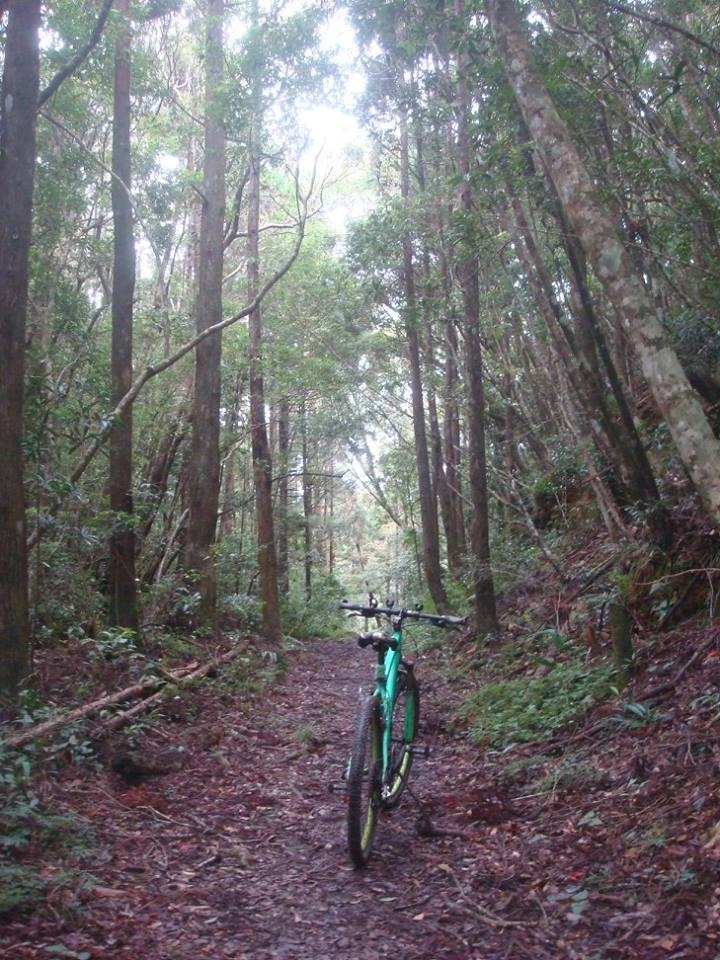 流浪到浸水營古道,這次改騎越野車 ((圖多!