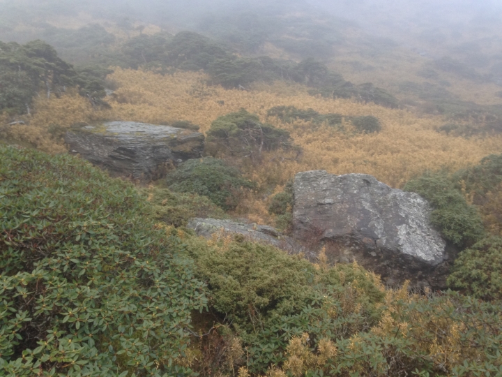 神奇賤包--準重裝南湖大山雙日行
