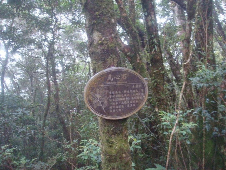 流浪到浸水營古道,這次改騎越野車 ((圖多!