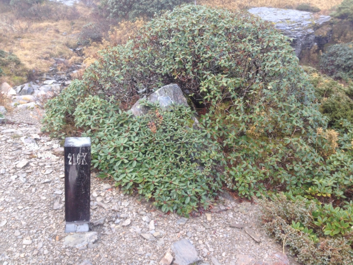 神奇賤包--準重裝南湖大山雙日行
