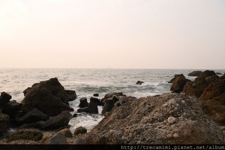 【食記】高雄Terroir流浪吧-超強大海景夕陽!玫關係,是愛情阿*寵物友善