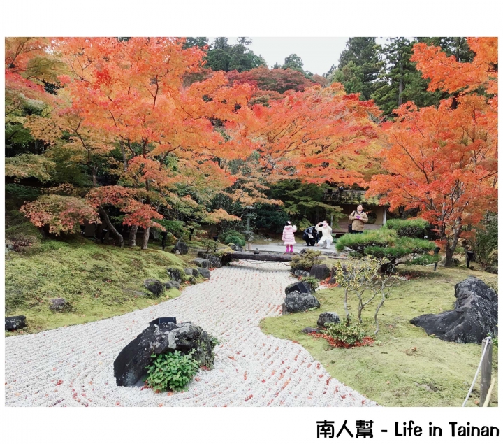 【日本旅遊】松島漁市場│點亮松島紅葉│群巒布滿山楓覆著薄薄白雪~~日本仙台五日遊-Day3