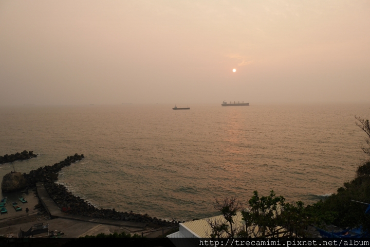 【食記】高雄Terroir流浪吧-超強大海景夕陽!玫關係,是愛情阿*寵物友善