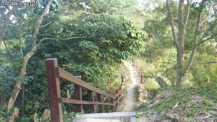 林內龍過脈登山步道,運動、旅遊、賞景皆適宜~