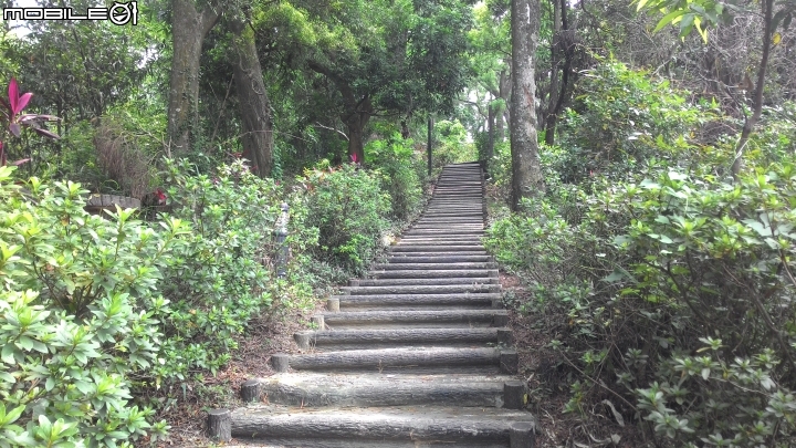 林內龍過脈登山步道,運動、旅遊、賞景皆適宜~