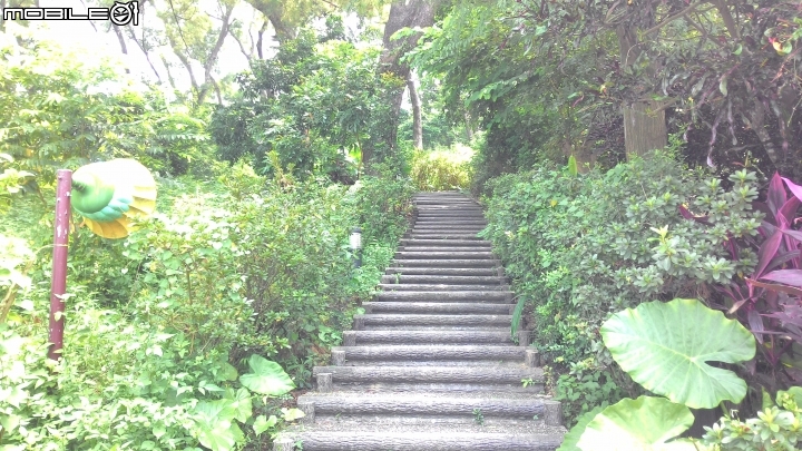 林內龍過脈登山步道,運動、旅遊、賞景皆適宜~