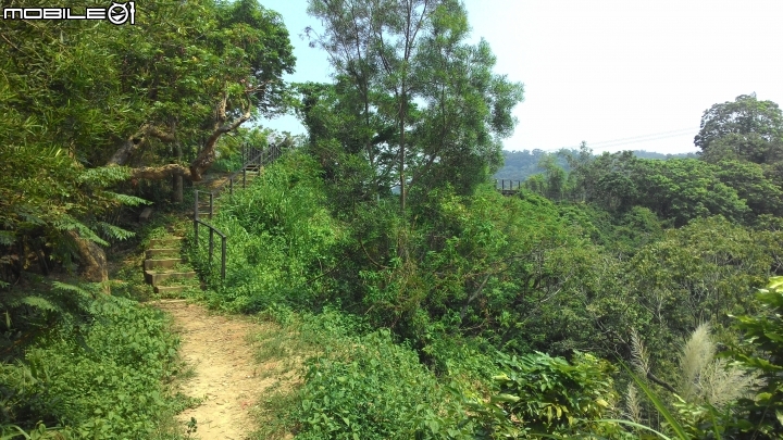 林內龍過脈登山步道,運動、旅遊、賞景皆適宜~