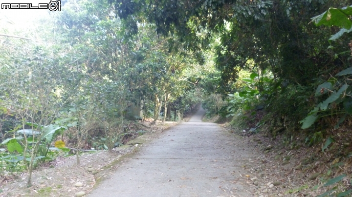 林內龍過脈登山步道,運動、旅遊、賞景皆適宜~