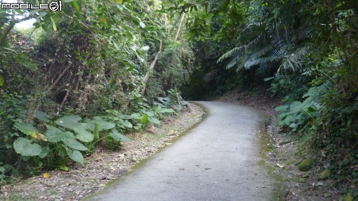 林內龍過脈登山步道,運動、旅遊、賞景皆適宜~