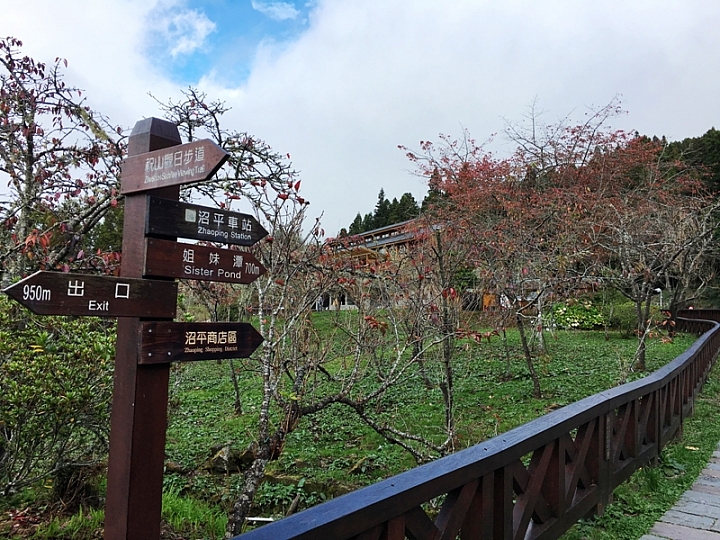 20161201~1215 阿里山、墾丁、綠島、武嶺放空之旅 (一)日月潭、阿里山、嘉義行程