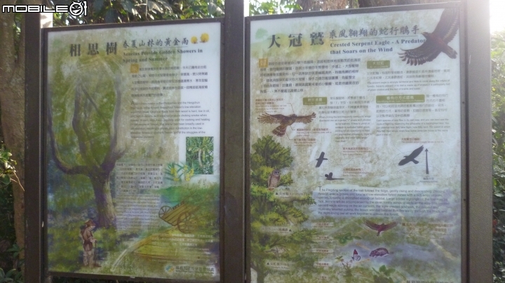 林內龍過脈登山步道,運動、旅遊、賞景皆適宜~