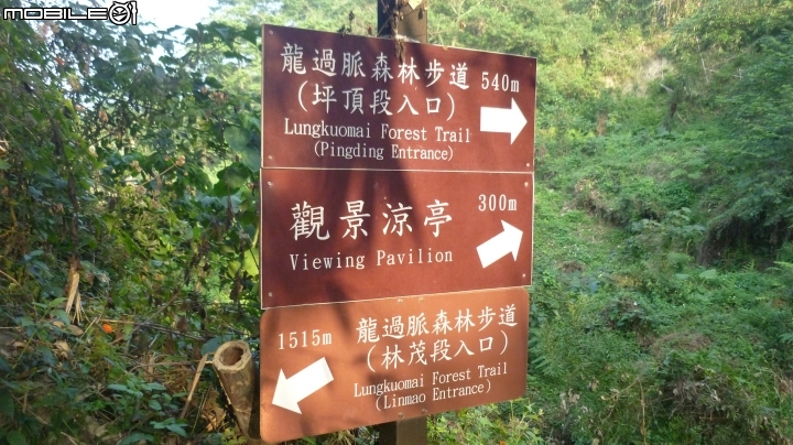 林內龍過脈登山步道,運動、旅遊、賞景皆適宜~