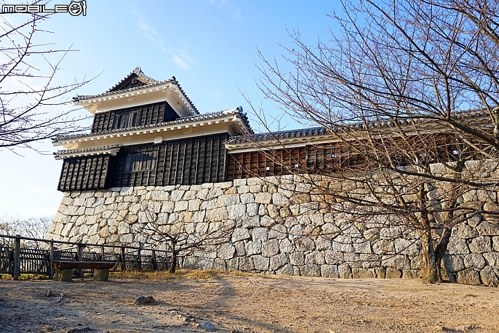 松山市電一日券 暢遊松山城與大街道
