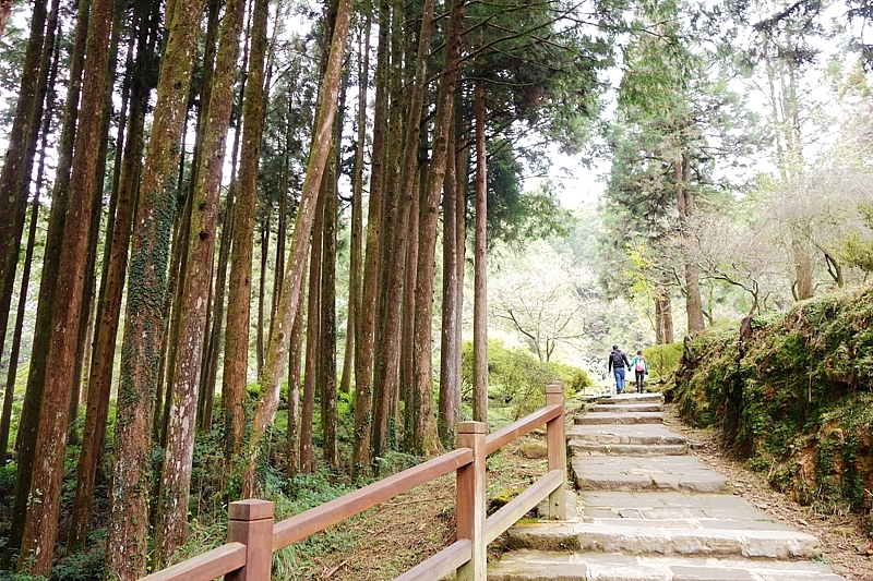 20161201~1215 阿里山、墾丁、綠島、武嶺放空之旅 (一)日月潭、阿里山、嘉義行程
