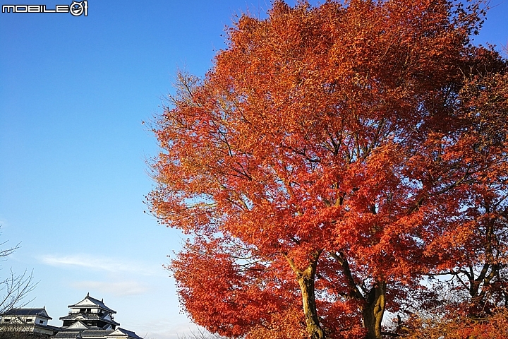 松山市電一日券 暢遊松山城與大街道