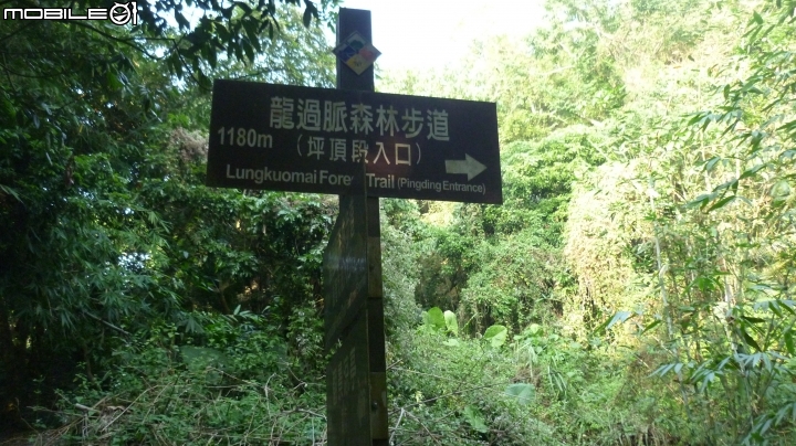 林內龍過脈登山步道,運動、旅遊、賞景皆適宜~