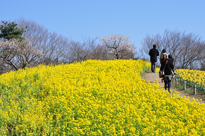 號外！免費的日本茨城縣&東京都5天4夜旅，絕對豐富好玩！5個名額等你來發文角逐！