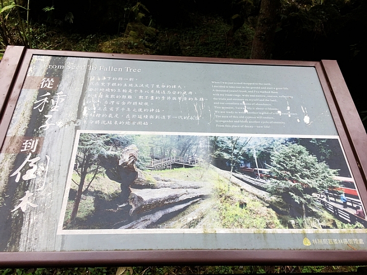 20161201~1215 阿里山、墾丁、綠島、武嶺放空之旅 (一)日月潭、阿里山、嘉義行程