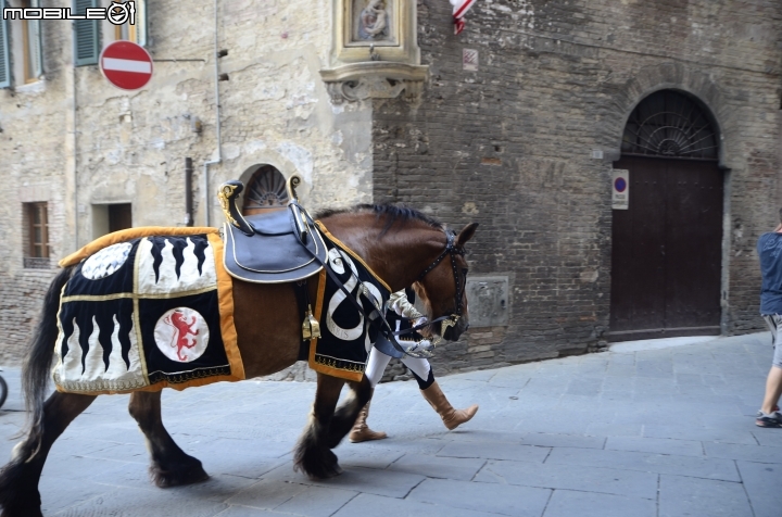 義大利自由行-從羅馬(Roma)到佛羅倫斯(Firenze),從永恆到文藝復興