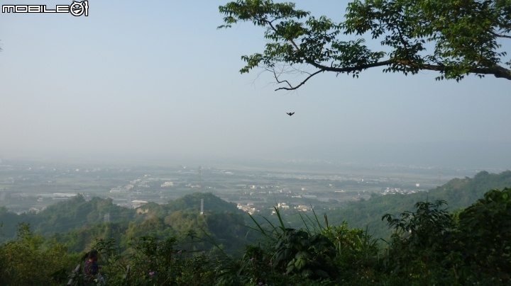 林內龍過脈登山步道,運動、旅遊、賞景皆適宜~