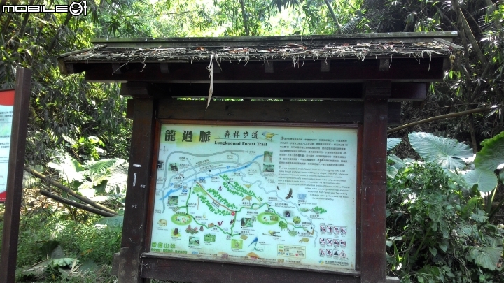 林內龍過脈登山步道,運動、旅遊、賞景皆適宜~