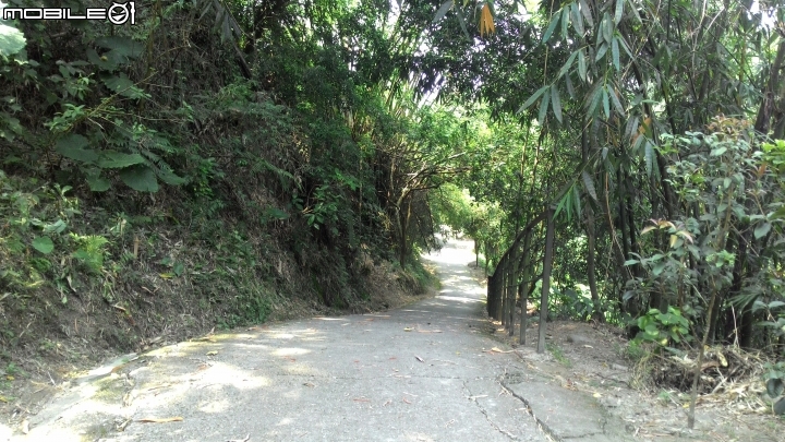 林內龍過脈登山步道,運動、旅遊、賞景皆適宜~