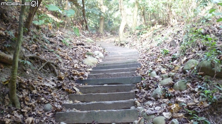 林內龍過脈登山步道,運動、旅遊、賞景皆適宜~